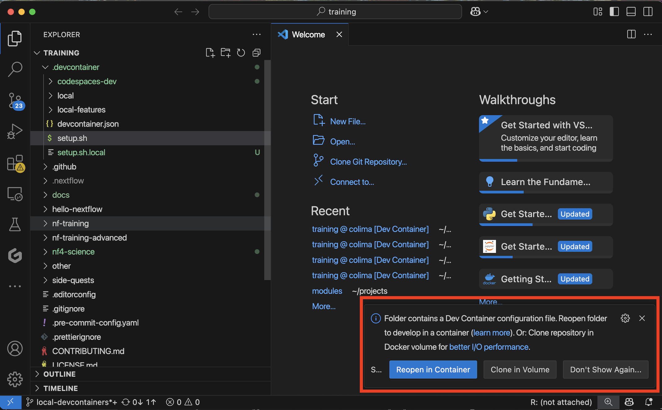 Reopen in Container prompt